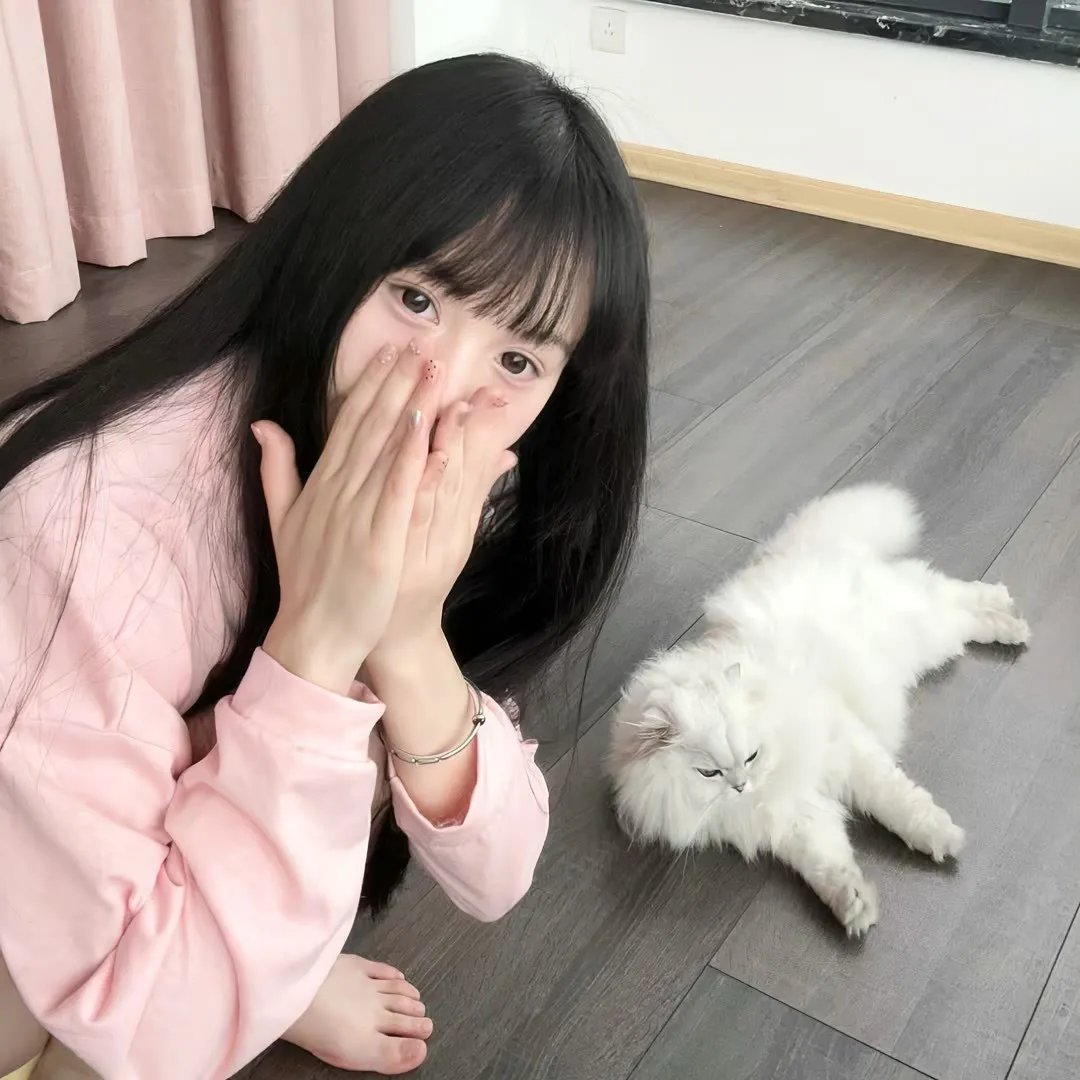 画魂缠身